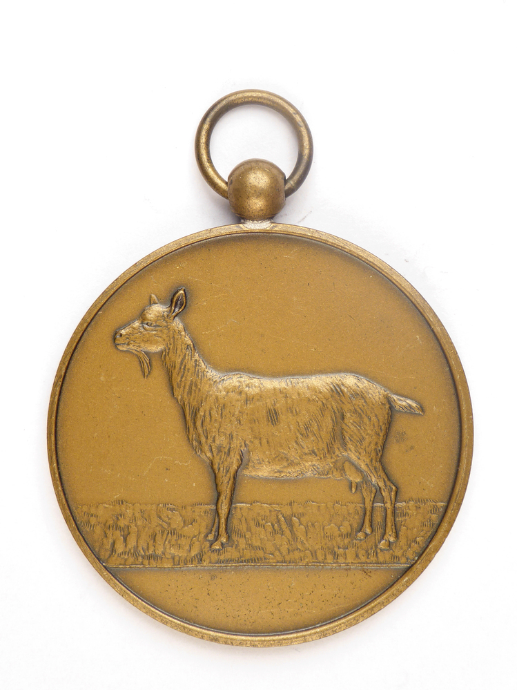 ronde koperkleurige medaille met op voorkant afbeelding van een geit en op achterkant inscriptie 3 B p Fokveedag SL 68